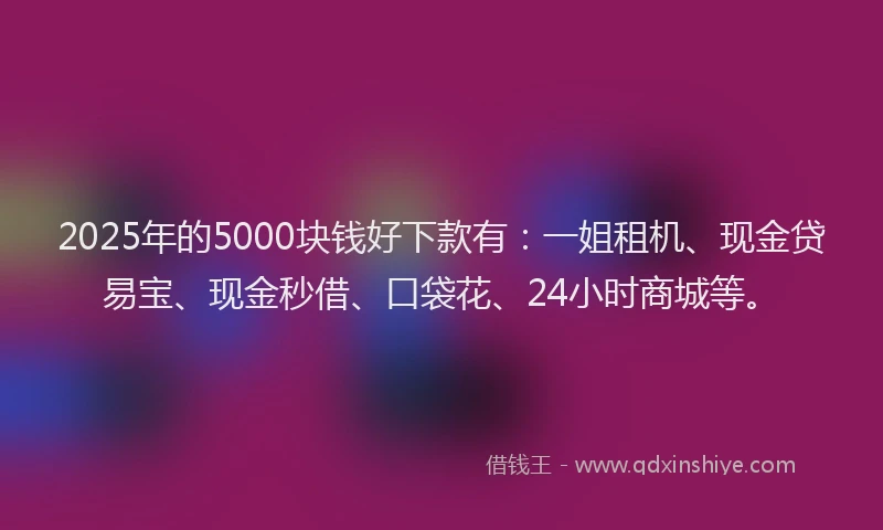 2025年的5000块钱好下款有:一姐租机、现金贷易宝、现金秒借、口袋花、24小时商城等。