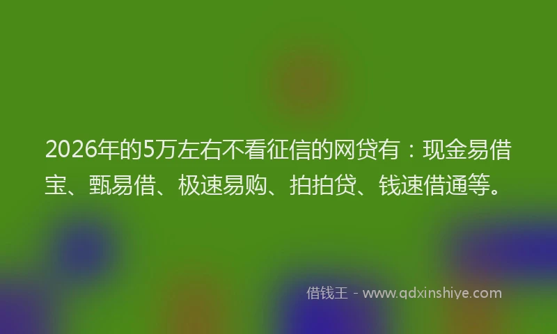 2026年的5万左右不看征信的网贷有:现金易借宝、甄易借、极速易购、拍拍贷、钱速借通等。