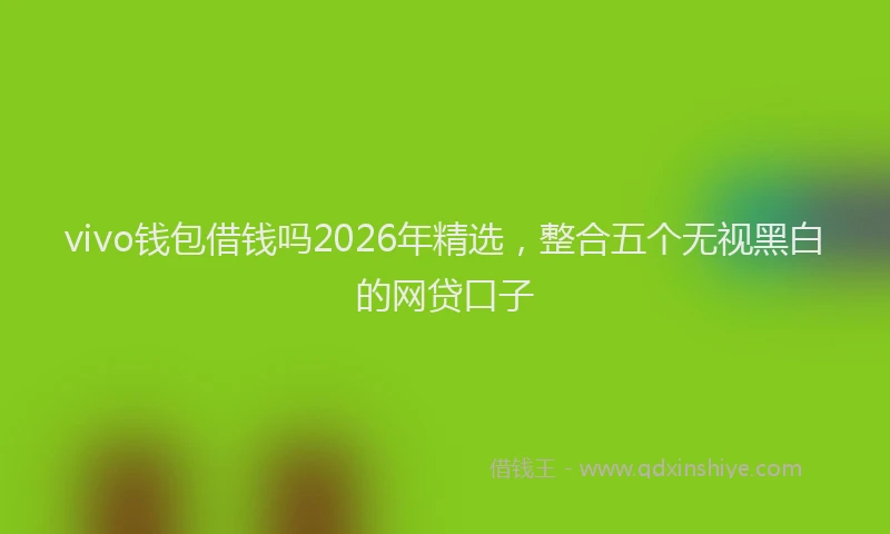 vivo钱包借钱吗2026年精选，整合五个无视黑白的网贷口子