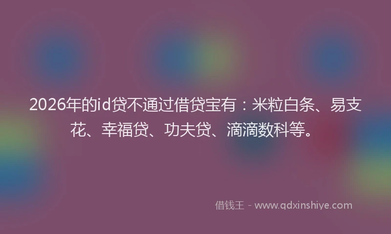 2026年的id贷不通过借贷宝有：米粒白条、易支花、幸福贷、功夫贷、滴滴数科等。