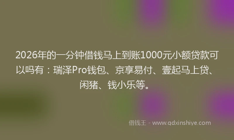 2026年的一分钟借钱马上到账1000元小额贷款可以吗有：瑞泽Pro钱包、京享易付、壹起马上贷、闲猪、钱小乐等。