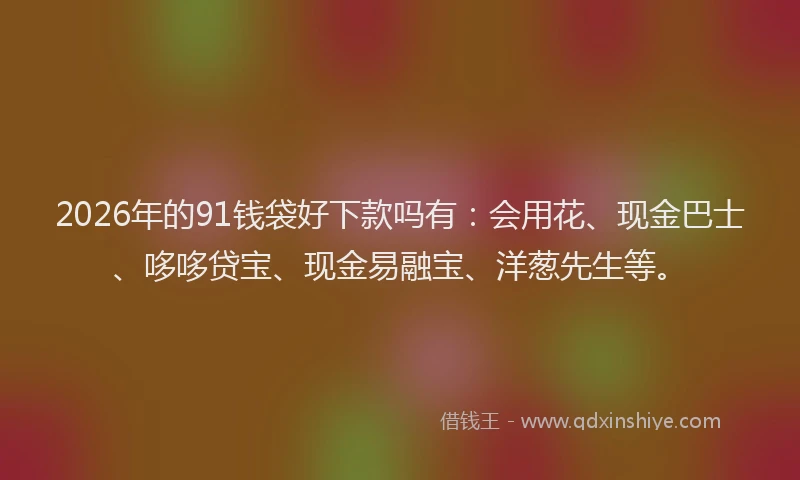 2026年的91钱袋好下款吗有：会用花、现金巴士、哆哆贷宝、现金易融宝、洋葱先生等。