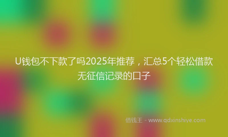 U钱包不下款了吗2025年推荐，汇总5个轻松借款无征信记录的口子