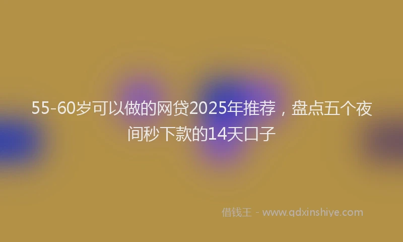 55-60岁可以做的网贷2025年推荐，盘点五个夜间秒下款的14天口子