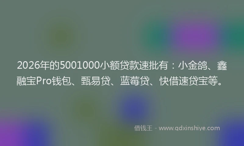 2026年的5001000小额贷款速批有：小金鸽、鑫融宝Pro钱包、甄易贷、蓝莓贷、快借速贷宝等。