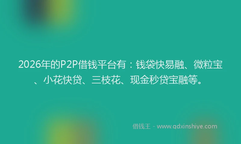 2026年的P2P借钱平台有：钱袋快易融、微粒宝、小花快贷、三枝花、现金秒贷宝融等。