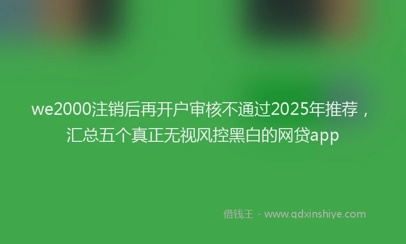 we2000注销后再开户审核不通过2025年推荐，汇总五个真正无视风控黑白的网贷app