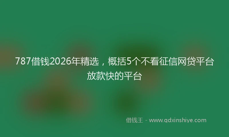 787借钱2026年精选，概括5个不看征信网贷平台放款快的平台