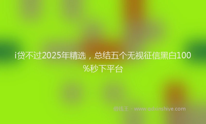 i贷不过2025年精选，总结五个无视征信黑白100%秒下平台
