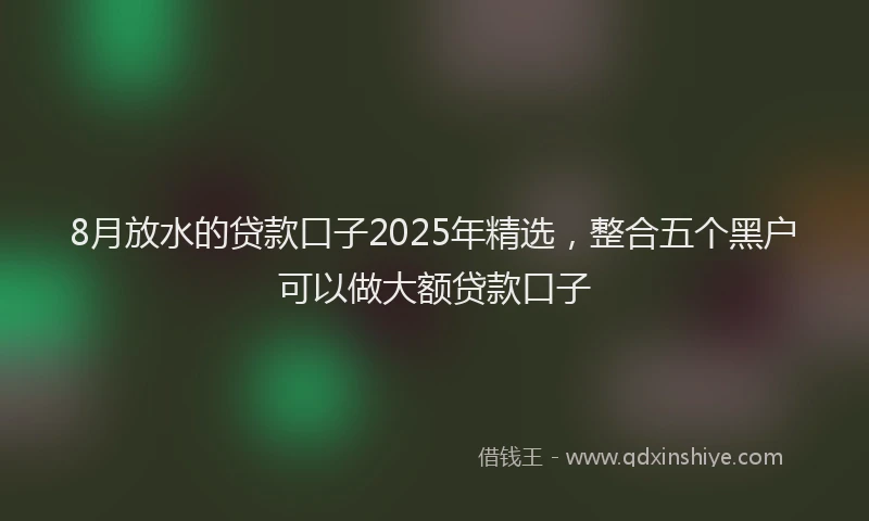 8月放水的贷款口子2025年精选，整合五个黑户可以做大额贷款口子