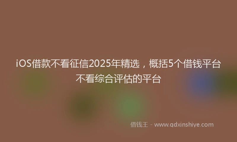 iOS借款不看征信2025年精选，概括5个借钱平台不看综合评估的平台