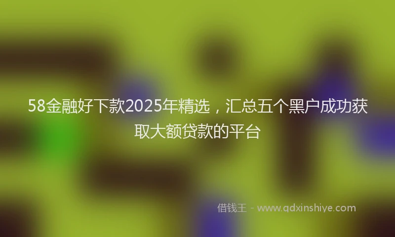 58金融好下款2025年精选，汇总五个黑户成功获取大额贷款的平台