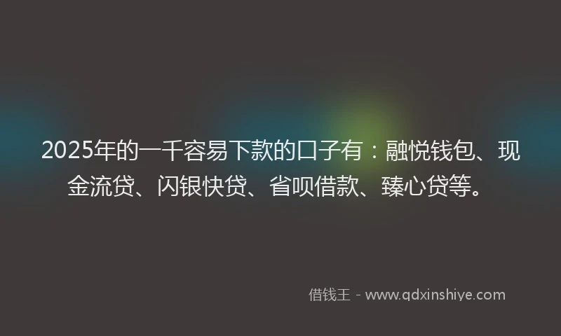 2025年的一千容易下款的口子有：融悦钱包、现金流贷、闪银快贷、省呗借款、臻心贷等。