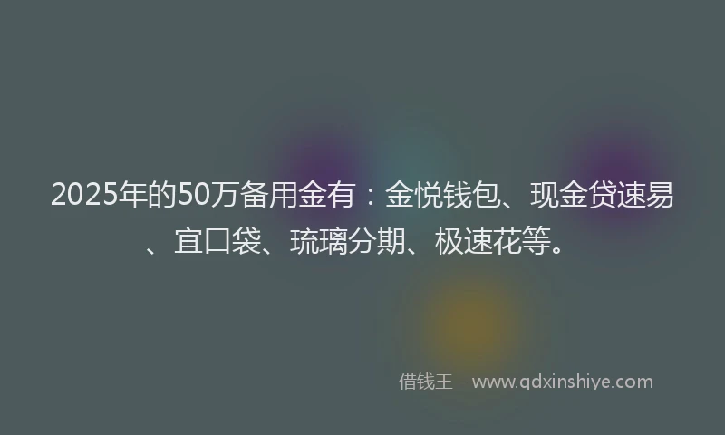 2025年的50万备用金有：金悦钱包、现金贷速易、宜口袋、琉璃分期、极速花等。
