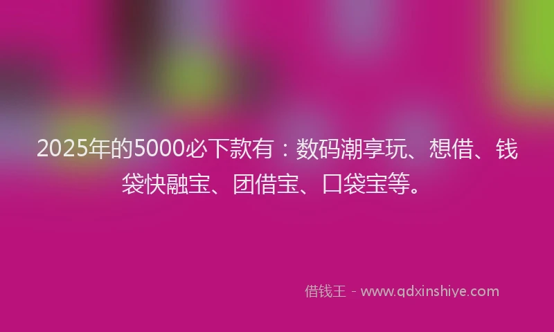 2025年的5000必下款有:数码潮享玩、想借、钱袋快融宝、团借宝、口袋宝等。