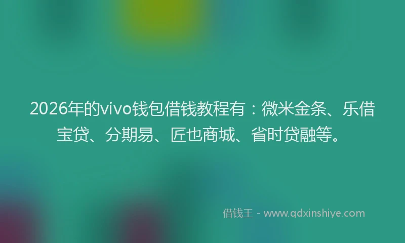 2026年的vivo钱包借钱教程有：微米金条、乐借宝贷、分期易、匠也商城、省时贷融等。