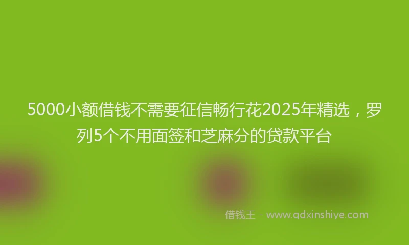 5000小额借钱不需要征信畅行花2025年精选，罗列5个不用面签和芝麻分的贷款平台
