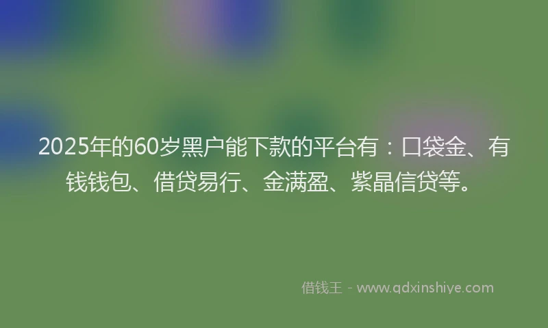2025年的60岁黑户能下款的平台有：口袋金、有钱钱包、借贷易行、金满盈、紫晶信贷等。