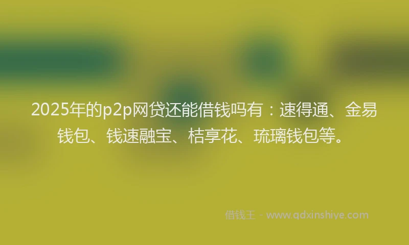 2025年的p2p网贷还能借钱吗有：速得通、金易钱包、钱速融宝、桔享花、琉璃钱包等。