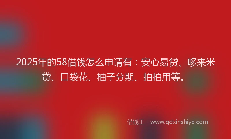 2025年的58借钱怎么申请有：安心易贷、哆来米贷、口袋花、柚子分期、拍拍用等。