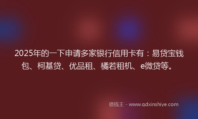 2025年的一下申请多家银行信用卡有：易贷宝钱包、柯基贷、优品租、橘若租机、e微贷等。