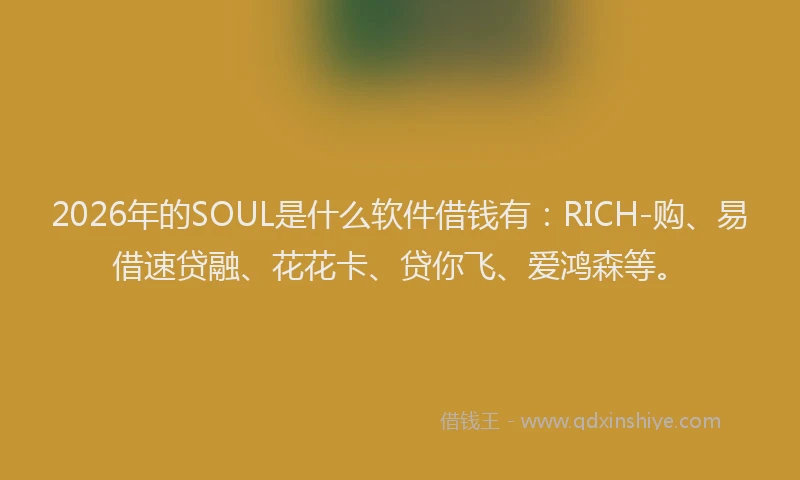 2026年的SOUL是什么软件借钱有：RICH-购、易借速贷融、花花卡、贷你飞、爱鸿森等。