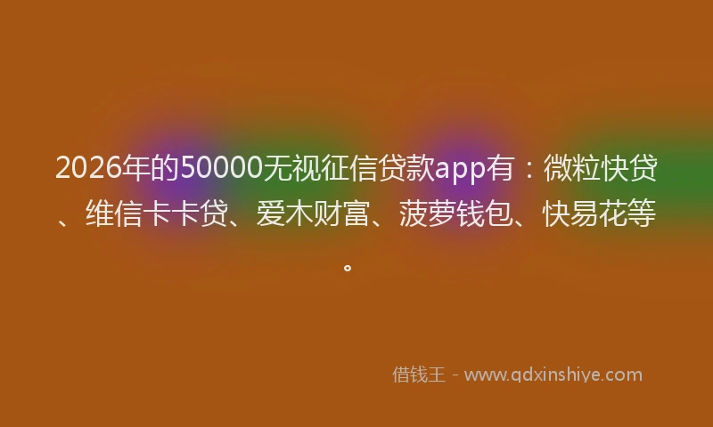 2026年的50000无视征信贷款app有：微粒快贷、维信卡卡贷、爱木财富、菠萝钱包、快易花等。