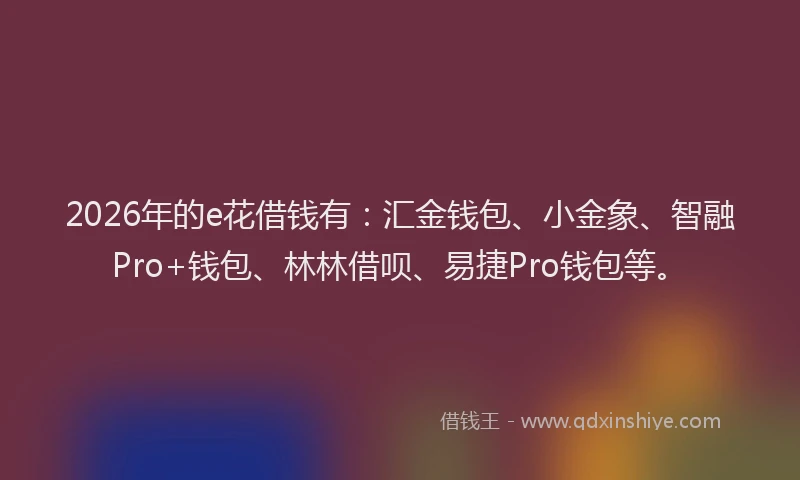 2026年的e花借钱有：汇金钱包、小金象、智融Pro+钱包、林林借呗、易捷Pro钱包等。
