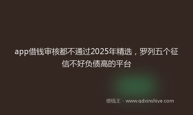 app借钱审核都不通过2025年精选，罗列五个征信不好负债高的平台
