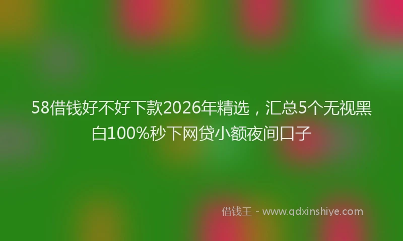 58借钱好不好下款2026年精选，汇总5个无视黑白100%秒下网贷小额夜间口子