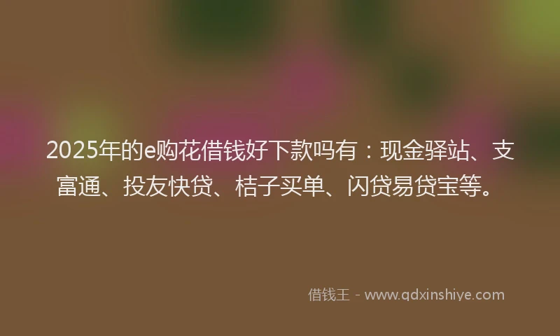 2025年的e购花借钱好下款吗有：现金驿站、支富通、投友快贷、桔子买单、闪贷易贷宝等。