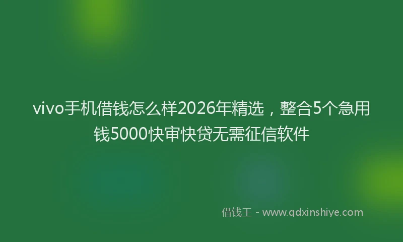 vivo手机借钱怎么样2026年精选，整合5个急用钱5000快审快贷无需征信软件