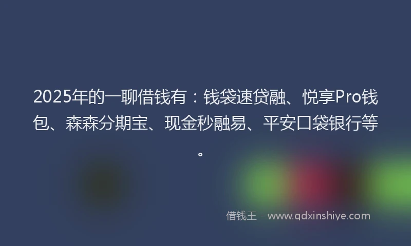 2025年的一聊借钱有:钱袋速贷融、悦享Pro钱包、森森分期宝、现金秒融易、平安口袋银行等。