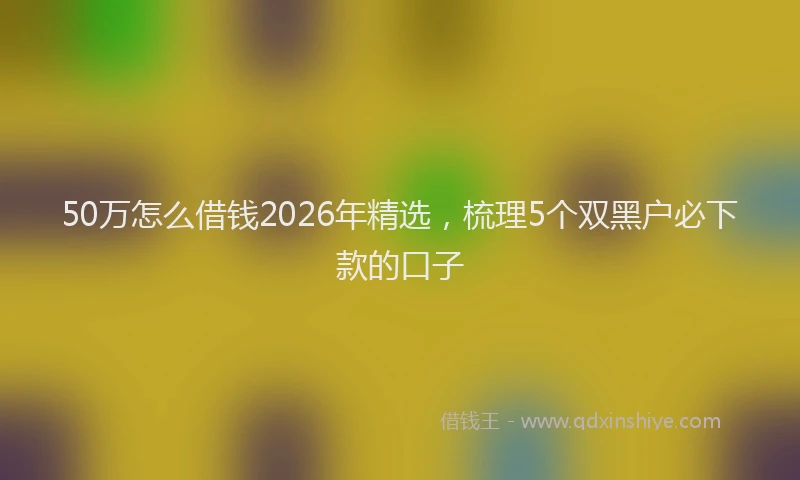 50万怎么借钱2026年精选，梳理5个双黑户必下款的口子
