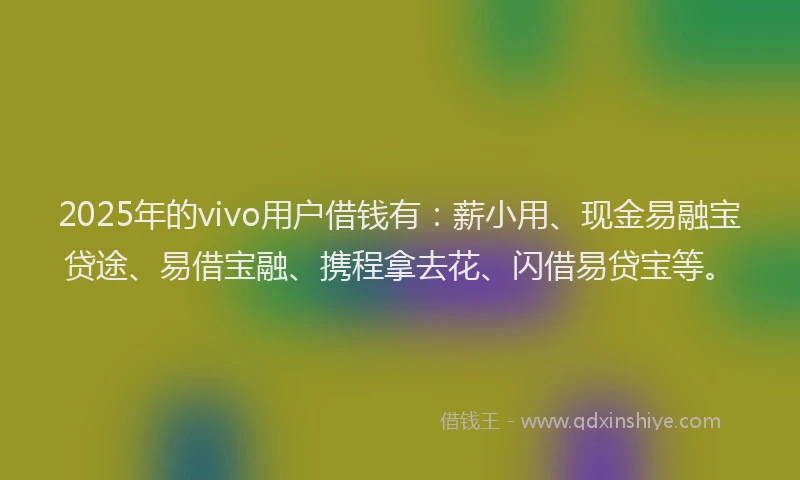 2025年的vivo用户借钱有：薪小用、现金易融宝贷途、易借宝融、携程拿去花、闪借易贷宝等。