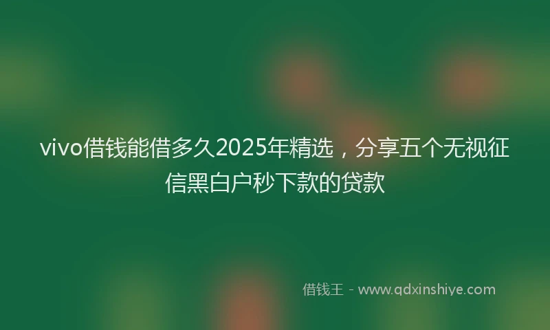 vivo借钱能借多久2025年精选,分享五个无视征信黑白户秒下款的贷款