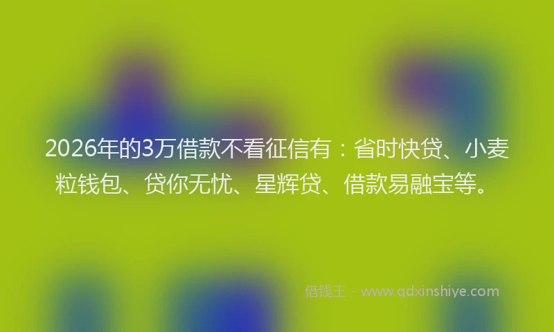 2026年的3万借款不看征信有：省时快贷、小麦粒钱包、贷你无忧、星辉贷、借款易融宝等。