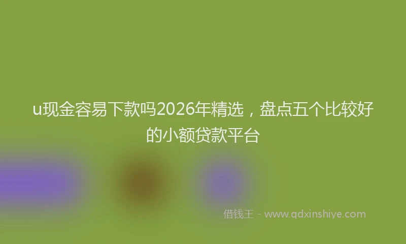 u现金容易下款吗2026年精选,盘点五个比较好的小额贷款平台