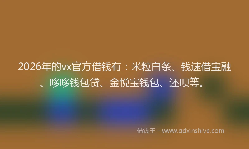 2026年的vx官方借钱有:米粒白条、钱速借宝融、哆哆钱包贷、金悦宝钱包、还呗等。