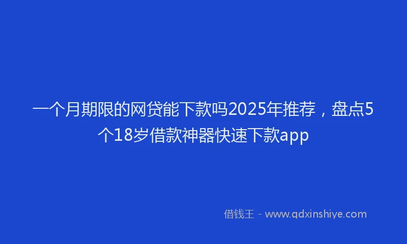 一个月期限的网贷能下款吗2025年推荐，盘点5个18岁借款神器快速下款app
