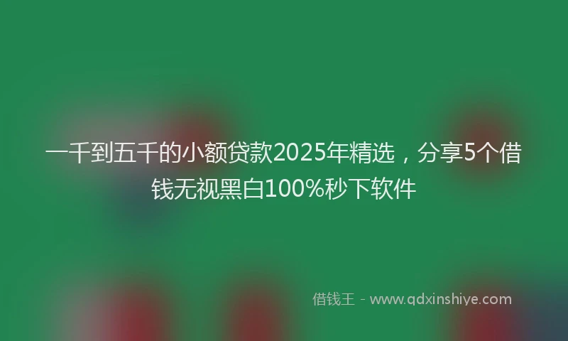 一千到五千的小额贷款2025年精选,分享5个借钱无视黑白100%秒下软件