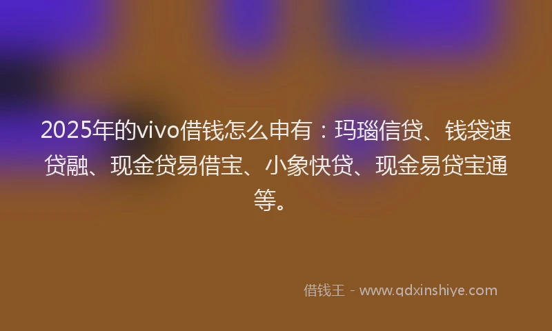 2025年的vivo借钱怎么申有：玛瑙信贷、钱袋速贷融、现金贷易借宝、小象快贷、现金易贷宝通等。