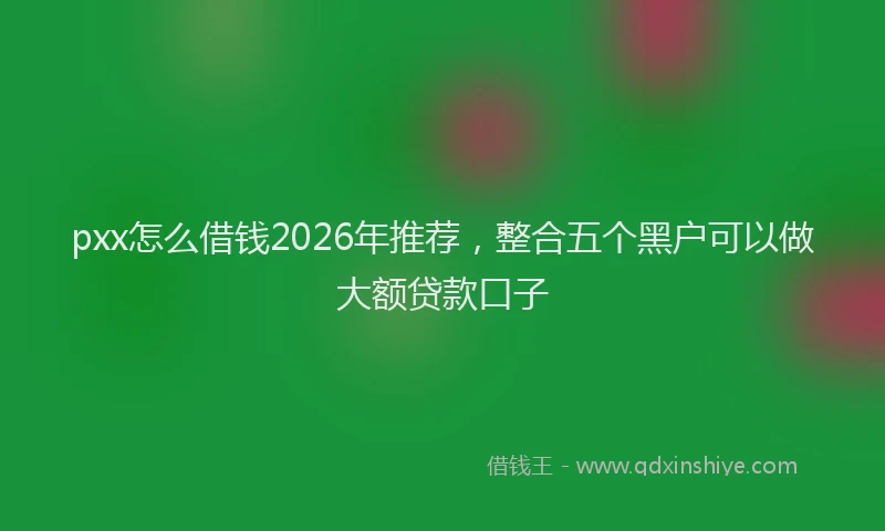 pxx怎么借钱2026年推荐，整合五个黑户可以做大额贷款口子