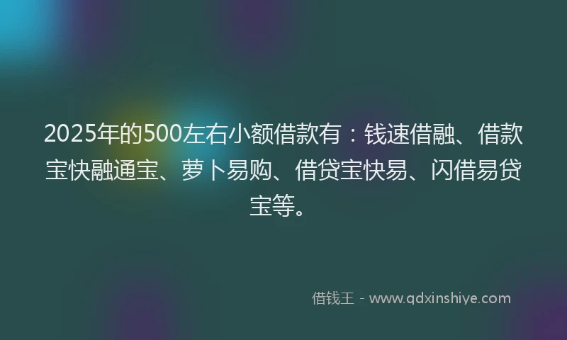2025年的500左右小额借款有：钱速借融、借款宝快融通宝、萝卜易购、借贷宝快易、闪借易贷宝等。