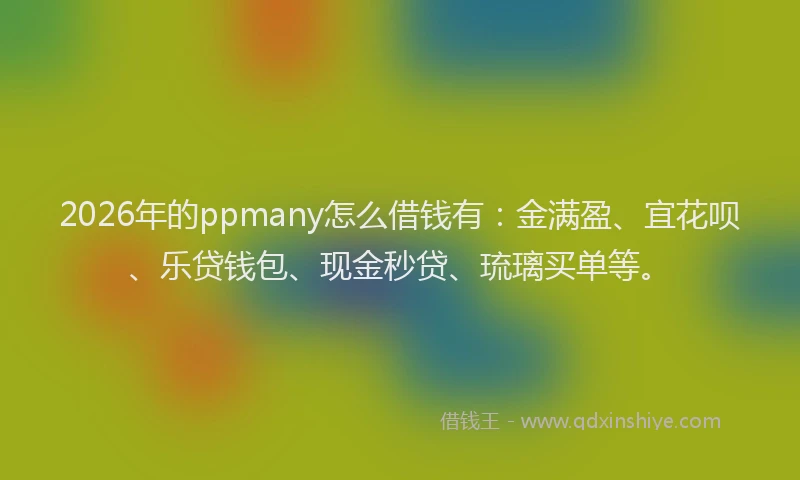 2026年的ppmany怎么借钱有:金满盈、宜花呗、乐贷钱包、现金秒贷、琉璃买单等。
