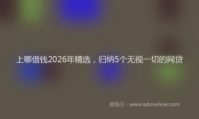 上哪借钱2026年精选，归纳5个无视一切的网贷