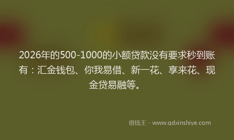 2026年的500-1000的小额贷款没有要求秒到账有：汇金钱包、你我易借、新一花、享来花、现金贷易融等。