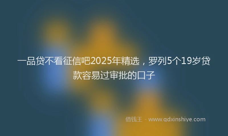 一品贷不看征信吧2025年精选，罗列5个19岁贷款容易过审批的口子