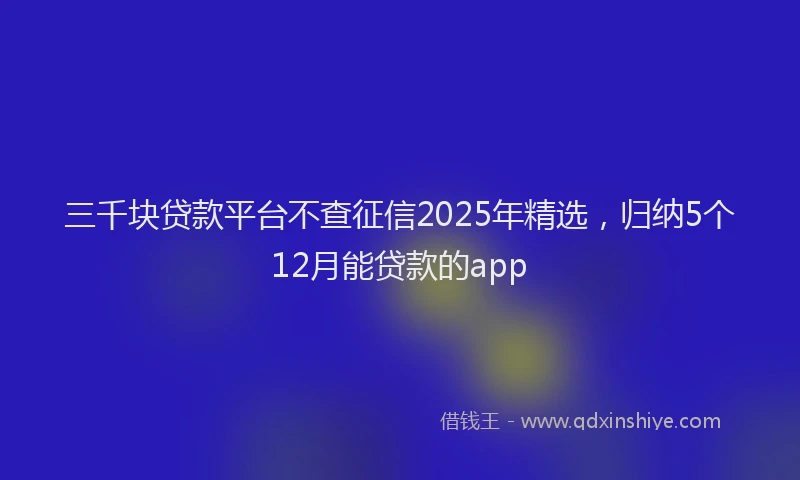 三千块贷款平台不查征信2025年精选，归纳5个12月能贷款的app