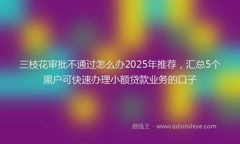 三枝花审批不通过怎么办2025年推荐,汇总5个黑户可快速办理小额贷款业务的口子